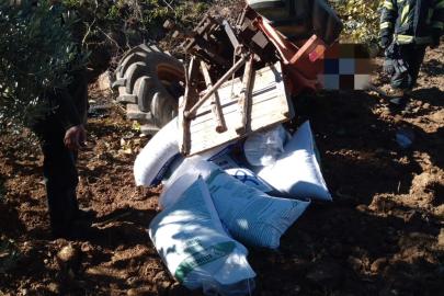 Gübre taşıyan traktör devrildi, sürücü altında kaldı