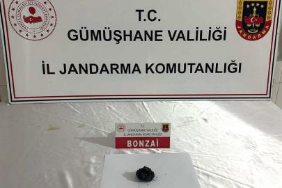 Gümüşhane’de jandarmadan uyuşturucu operasyonu