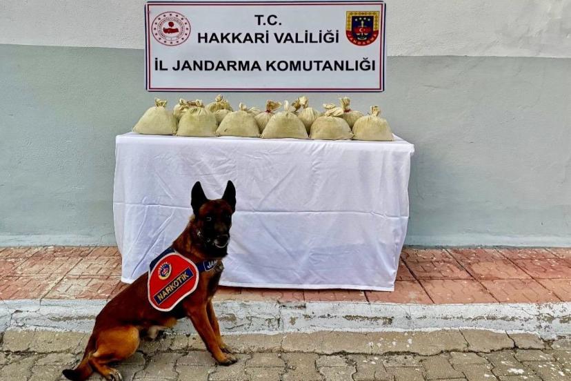 Hakkari’de 15 kilogram esrar ele geçirildi