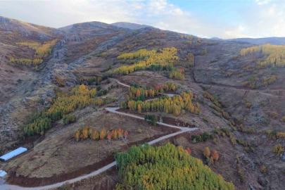 Haspet Kalesi’nde sanat ve duyarlılık buluştu