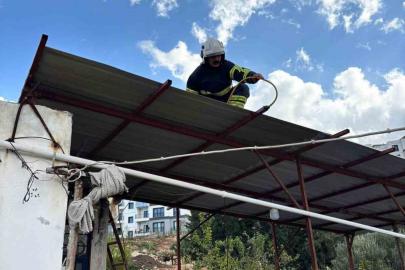 Hatay’da eve giren 2 yılanı itfaiye yakaladı