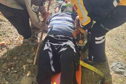 Hayvan otlatırken kayalıklardan düşen gazi kurtarıldı