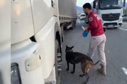 Iğdır’da kaçakçılık ve dolandırıcılık operasyonları: Çok sayıda kaçak ürün ele geçirildi, 4 şüpheli yakalandı