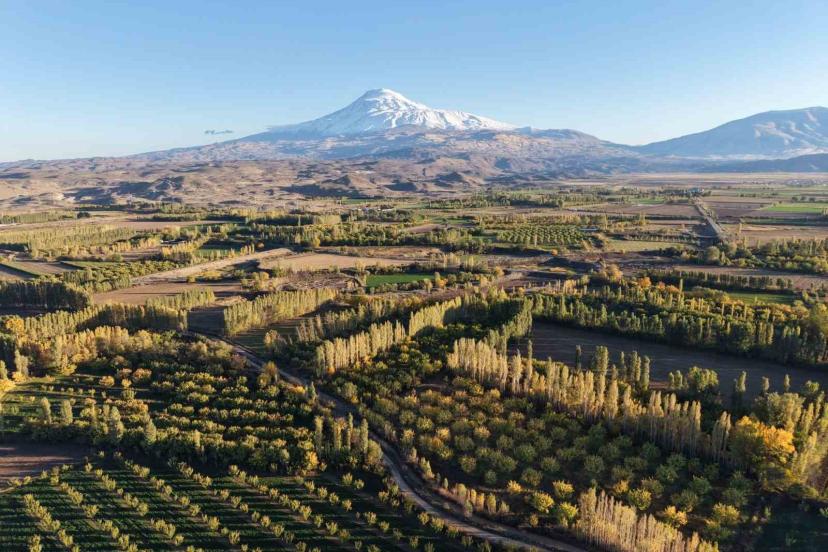 Iğdır’ın renk cümbüşüne dönüşen doğal cenneti İrem Bağları, havadan görüntülendi