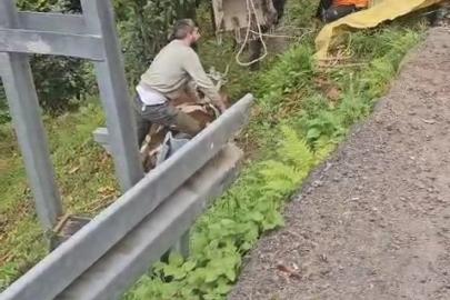 İneği vinçle düştüğü yamaçtan kurtardılar