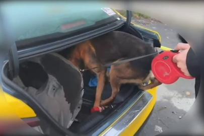 İstanbul’dan Sakarya’ya uyuşturucu getiren şüpheli tutuklandı