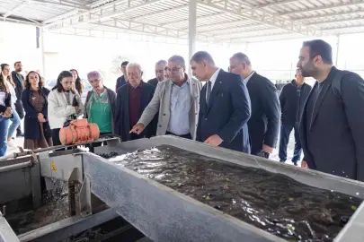 İzmir'de sezonun ilk zeytinyağı Başkan Tugay’dan