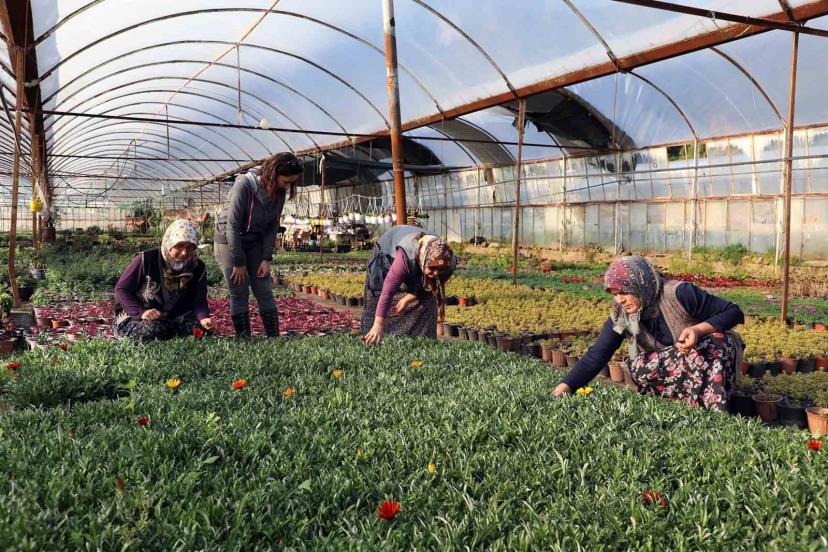 Kadın emeğiyle yerel kalkınma güçlendiriliyor