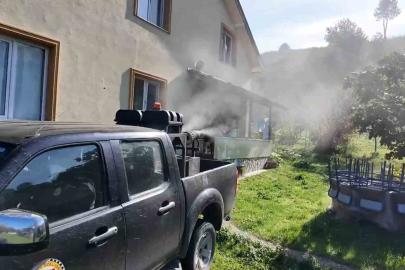 Kahverengi kokarca ile mücadele sürüyor