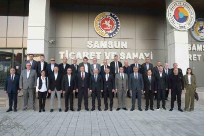 Kahverengi kokarca sorunu Samsun’daki oda ve borsaların gündeminde