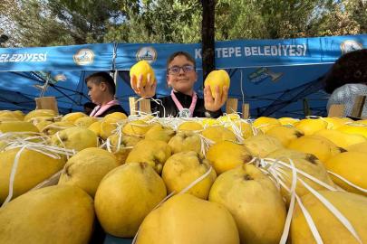 Kalitesiyle ünlü Eşme ayvası, festivalle görücüye çıktı