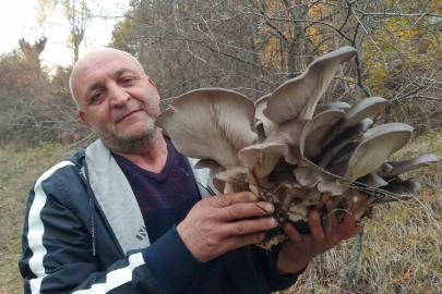 Kanlıca mantarı vatandaşların ilgi odağı oldu