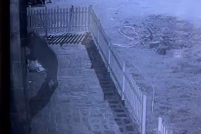 Kapıyı hırsız zorluyor sandı, gerçek güvenlik kamerası ile ortaya çıktı