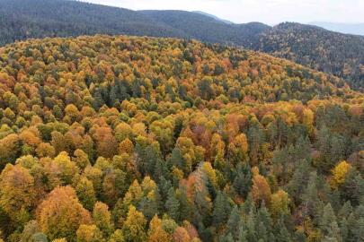 Karabük ormanlarındaki sonbahar renkleri mest ediyor