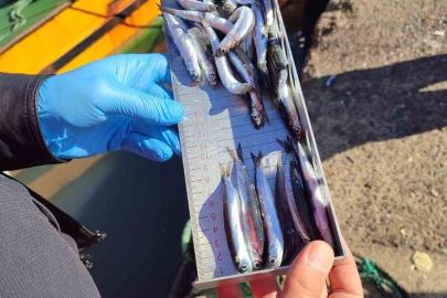 Karadeniz Ereğli’de balıkçılık denetimlerinde 153 tekneye e-seyir onayı verildi