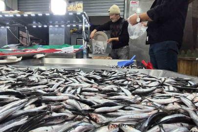 Karadeniz’de hamsi bollaştı, Bartın’da kilosu 50TL’ye düştü