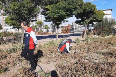Karadeniz’in korkulu rüyası Sivas’ta görüldü