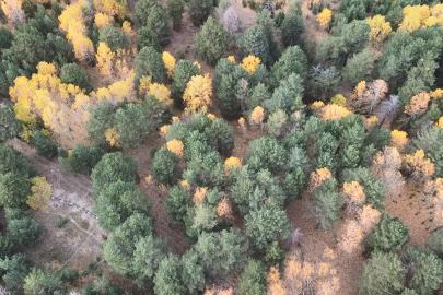 Kars’ta sonbaharda renk cümbüşü yaşanıyor