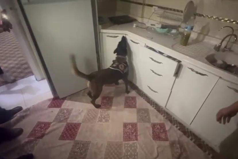 Kasaya zulalanan 10 kiloluk uyuşturucuyu narkotik köpeği ’Alis’ buldu
