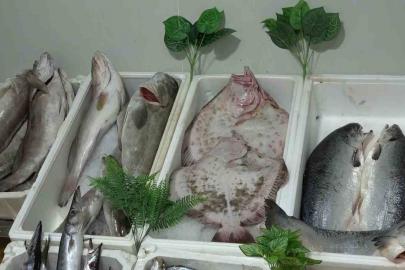 Kebap şehri Gaziantep’in yeni gözdesi balık