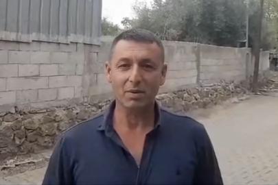 Kediye kalp masajı yaptı, hayata döndürdü