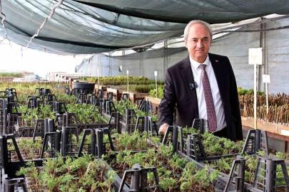 Kepez’den kurakçıl peyzaj hamlesi