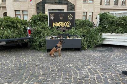 Kilis’te uyuşturucu operasyonu: 1 tutuklama