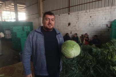 Kışlık ürünlerde hasat başladı