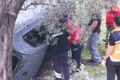 Kontrolü kaybetti zeytin bahçesine uçtu: 2 yaralı