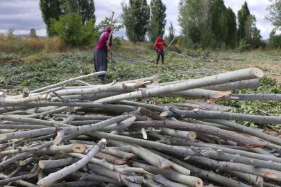 Köylerde kışlık odun hazırlığı