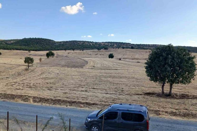 Kulp’ta sağanak başladı, çitçiler umutlandı