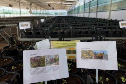 Kurakçıl Peyzaj Tasarımı Projesi’ne destek