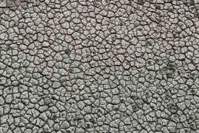 Kuraklığın izi: Seyhan Baraj Gölü’nde sular çekilince toprak çatladı