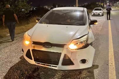 Malatya’da otomobilin çarptığı domuz telef oldu