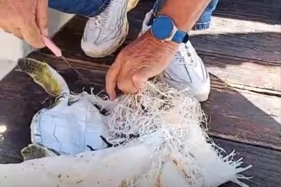 Marmaris Körfezi’nde çuvala dolanan deniz kaplumbağasını çevreciler kurtardı