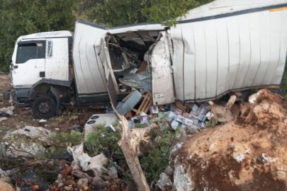 Mersin’de kamyon kazası : 2 yaralı