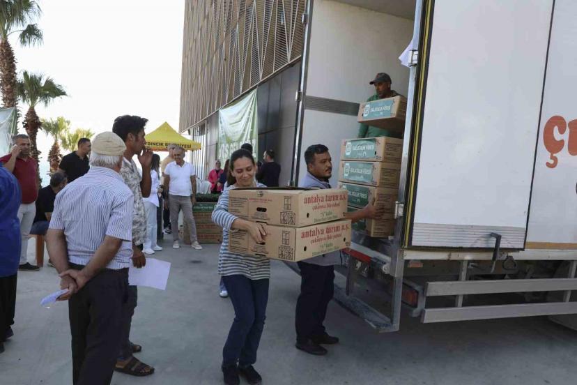 Mersin’de üreticiye fide ve güneş paneli desteği