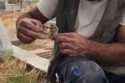 Mezarlıktan kefenlenmiş oyuncak bebek çıktı