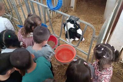 Minik öğrenciler tarımla buluştu