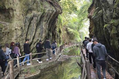 Muğla’da gençler ekolojik etkinlikte buluştu