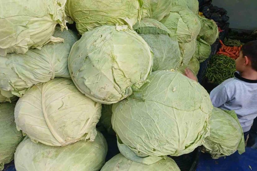 Muş lahanaları Diyarbakır’da tezgahlarda yerini aldı