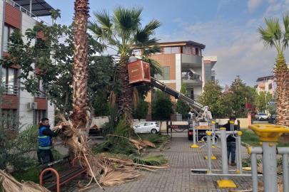Nazilli Belediyesi’nden 12 mahallede eş zamanlı çalışma