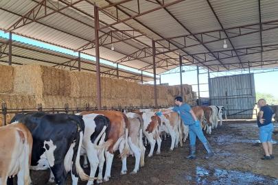 Nazilli’de 13 mahalle karantinaya alındı