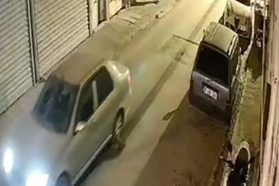 Nesli tehlike altındaki hayvanı aracıyla metrelerce sürükledi