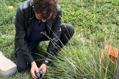 Öğretmenin fark ettiği yaralı güvercin kurtarıldı