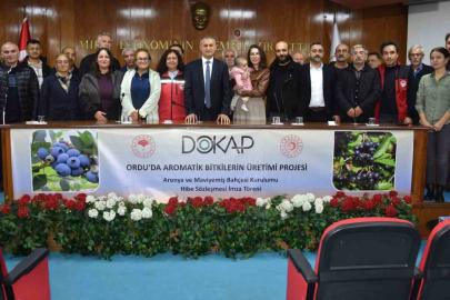 Ordu’da maviyemiş ve aronya üretim alanı 180 dekara ulaşıyor