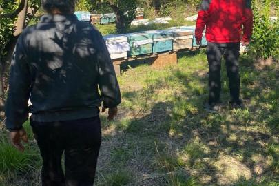 Ortaca’da arılı kovan desteklemeleri devam ediyor