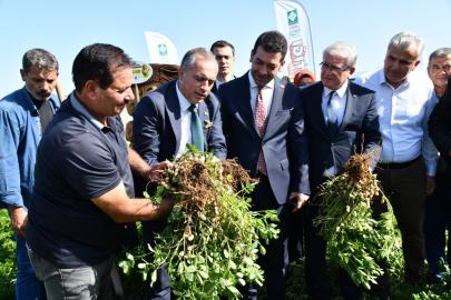Osmaniye Fıstık Festivali’ne hazırlanıyor