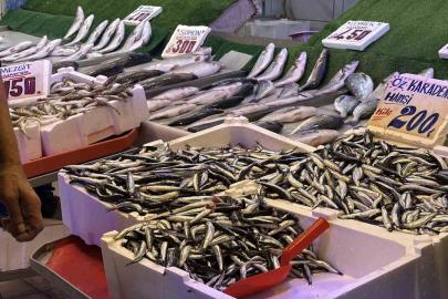 Palamudun yokluğunu Karadeniz’in vazgeçilmezi hamsi tamamlıyor