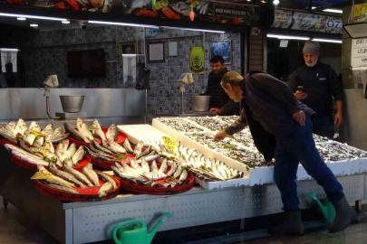 Palamut sezonu başlamadan bitti, umutlar seneye kaldı
